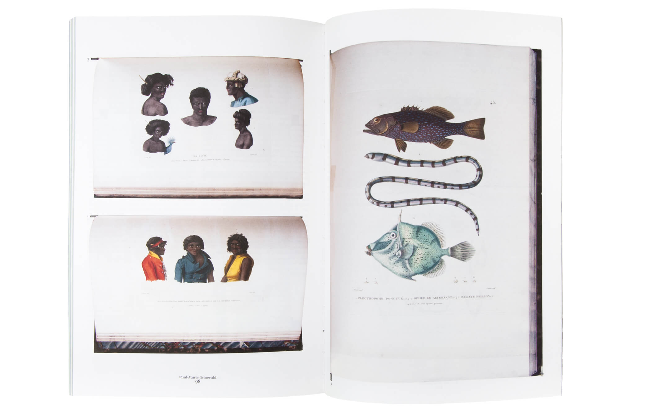 The Shelf Journal 1 The Structure of a Book Doublepage The